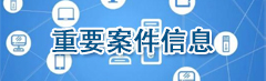 重要案件信息.jpg